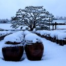 서일 농장 이미지