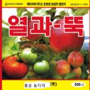 비티앤마