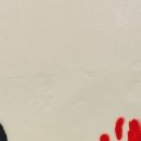 하이안경 이미지