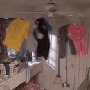 코끼리세탁 이미지