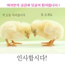 ㈜모닝스타 이미지