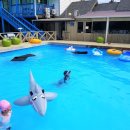 백합펜션 이미지