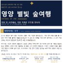 전국 국민참여단 3팀 중 한 팀으로 선정, 비결 공개! _ 산림청, 경북 영양 산촌 이음 별빛 숲여행
