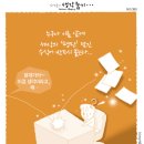 11월23일