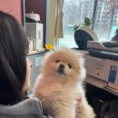 얼바인동물병원 이미지