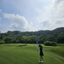 벌교파3