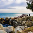 최고자원 이미지