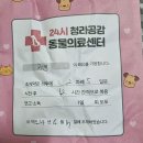 청라 공감 동물의료센터 이미지