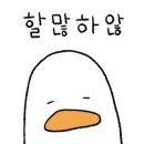 베이시스 옵(basis of) 이미지