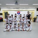 청룡태권도체육관 이미지