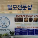 빈지게실버케어 | 미사두피케어 두피밥하남점 방문후기