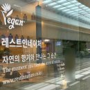 고양스타필드 레스트인네이처 차분한 우드향 디퓨저 구입 후기