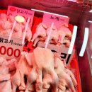 안양닭집