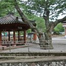 염북마을회관 이미지