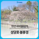 버스정류장(서부정류장역1번출구) 이미지