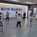 용인대 매교태권도장 이미지