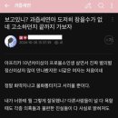 혼란을 틈탄 과즙세연 근황 이미지