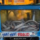 강변꼼장어쭈꾸미 이미지