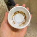 애완동물원 | 부산유일 카피바라가 있는 체험가능한 라라쥬 동물원