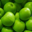 행복애농원 이미지