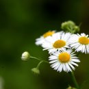 술렁술렁 이미지