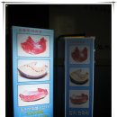 지중해 참치 이미지