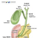 은빛사랑요양병원 이미지