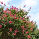 함박공원 입구 이미지