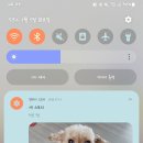 예쁜댕 이미지