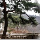 수채화로 그리는 세상 이미지