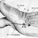 수화목