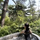 충북제천여행 포레스트리솜 해브나인스파 스톤스파예약 스파이용꿀팁