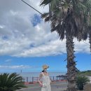 제주도 푸른밤 이미지