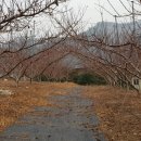 청강농원 | 금강산도 식후경,공부했으니 먹어라