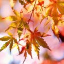 죽전바른신경과의원 이미지