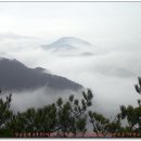 성수산목장 이미지