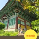 한국관광공사, 반려견과 함께하는 템플스테이 '댕플스테이' 출시 이미지