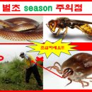 벌초씨즌 주의점!!! 이미지