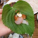 덕양구 화정 맛집) Best3로 뽑고 싶은 동하수산 솔직후기