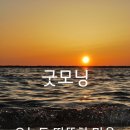 햇살 이미지