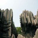 화이트7 이미지