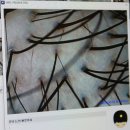 웰킨 김포장기점 이미지