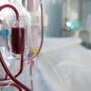 스마트 동물병원 이미지