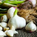 달구벌한의원 이미지