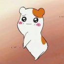 동양썬팅 이미지