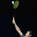 엠디디피티 이미지