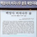 백암산 등산로 전경-⑤(백양사계곡:약사암계곡 입구~백양사~일주문~단풍두부식당 구간, 백암산 산행지도, 산행코스 포함) 이미지