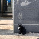 광주광역시남구 종합문화예술회관 | [2024] 삶이 하찮고 시시하게 흘러갈 수 있다는 것을 받아들이는 일은 쉽지 않다.