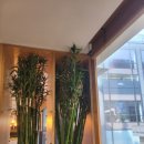 황금목장2 이미지