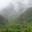 심적사